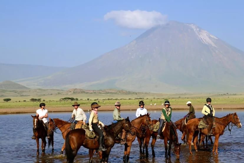 Horseback Riding