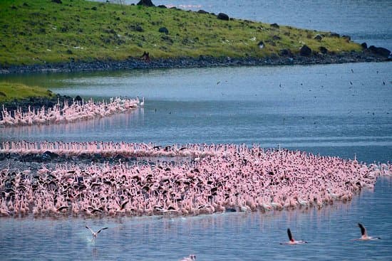 Lake Longil