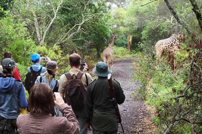 Guided Nature Walks