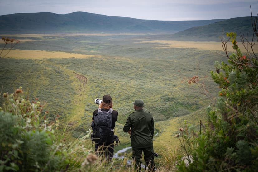 Hiking and Walking Safaris