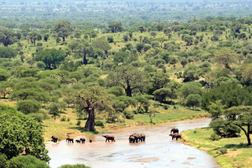 The Tarangire River